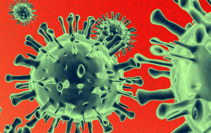 Attack of the giant viruses